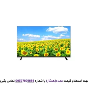 تلویزیون 55 اینچ آیوا مدل WS-551N نمای جلو