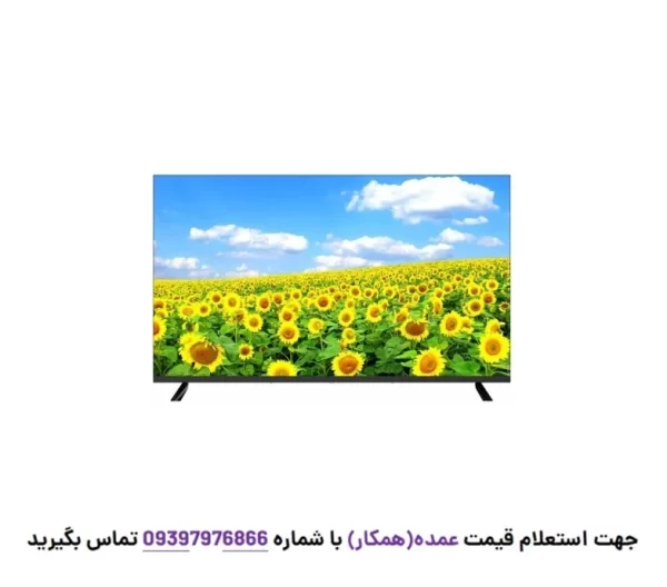 تلویزیون 55 اینچ آیوا مدل WS-551N نمای جلو