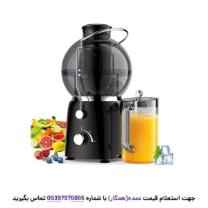 آبمیوه گیری تک کاره مایر مدل MR-270 از نمای جلو